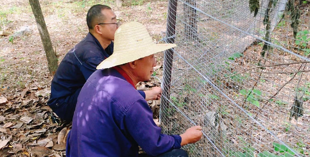 加固校園防護欄，保障安全除隱患