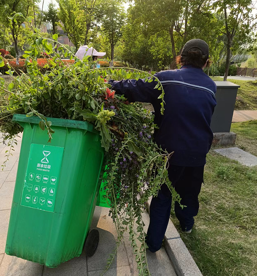 疾風知勁草