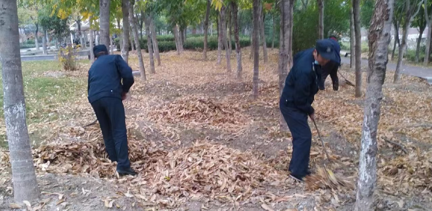 齊心清掃落葉， 共創文明校園