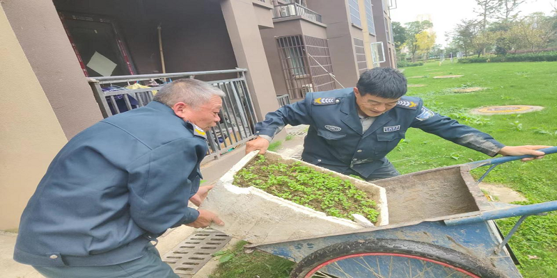 廣場東苑小區榮獲六安市 “最美小區”榮譽