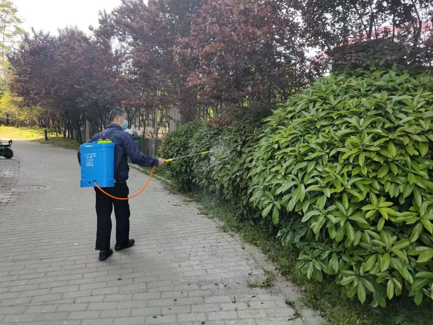 物業條例潤物無聲，怡緣小區春滿家園 ——共繪美好生活新篇章