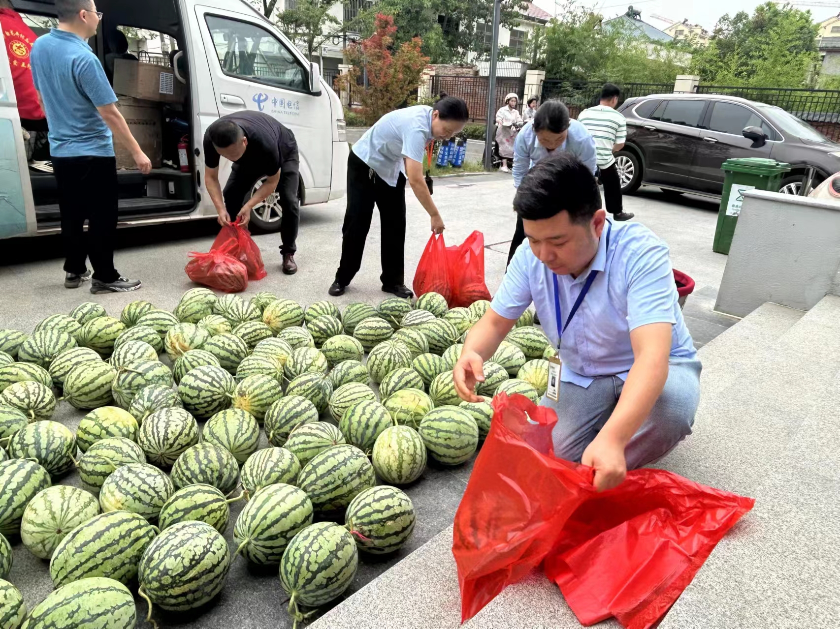 夏日綠意濃，黨心連民心 —— 安徽邦和物業與中國電信葉集分公司共繪鄉村振興新畫卷