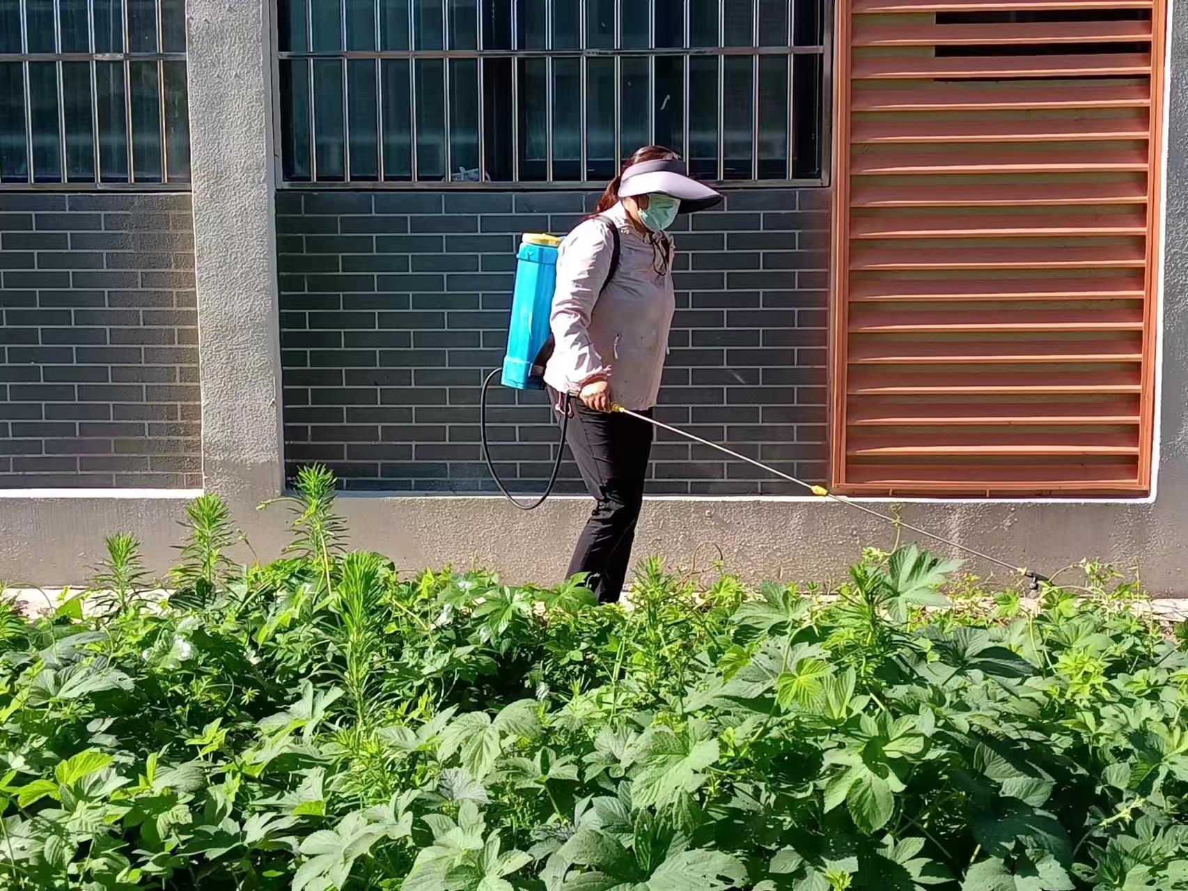 除雜草美校園 夏日勞動正當時 ——宿州應用技術學校項目部開展校園綠化整治行動